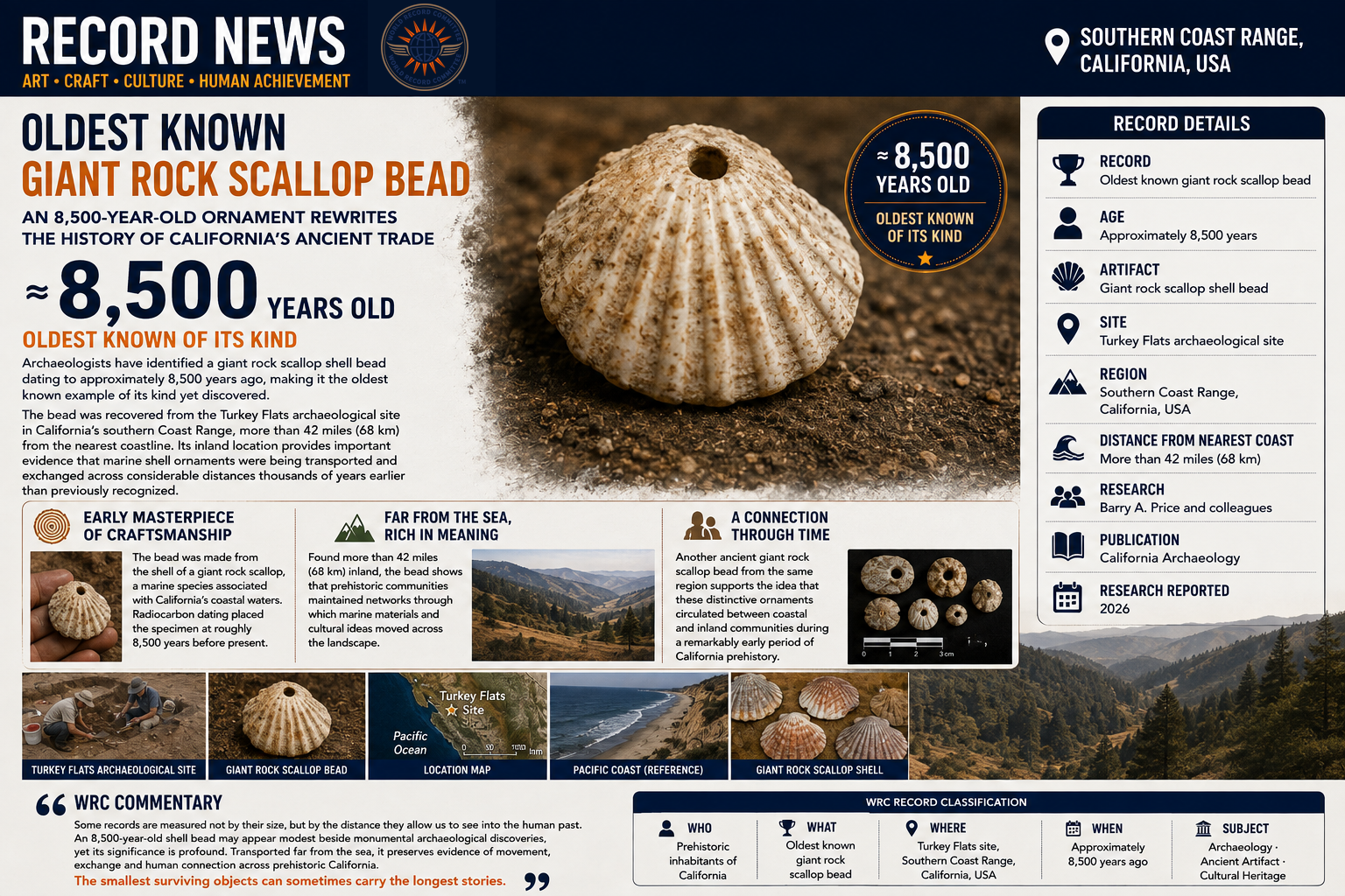 OLDEST KNOWN GIANT ROCK SCALLOP BEAD